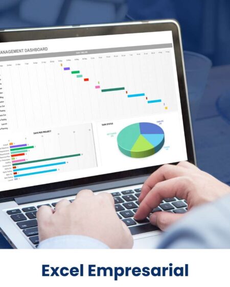 Excel Empresarial