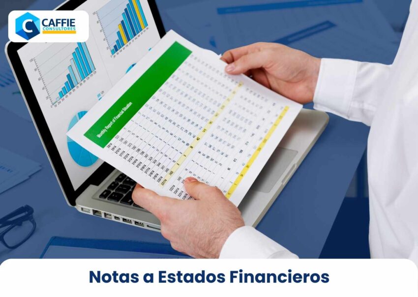 Notas a Estados Financieros