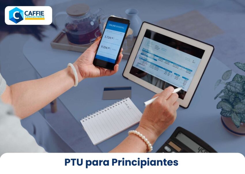 PTU para Principiantes