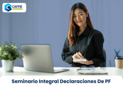Seminario Integral Declaraciones De Persona Física